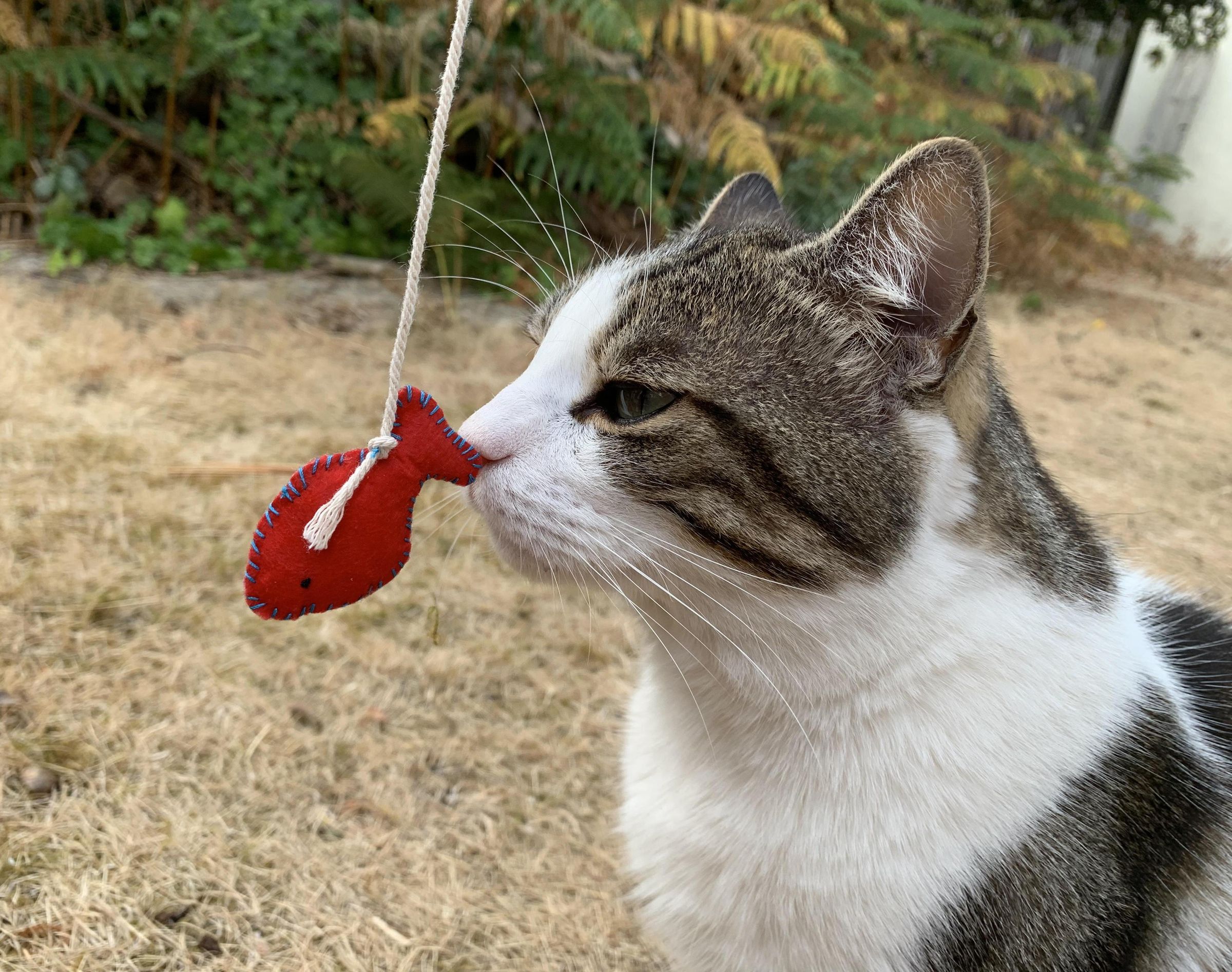 Felt Cat Toys