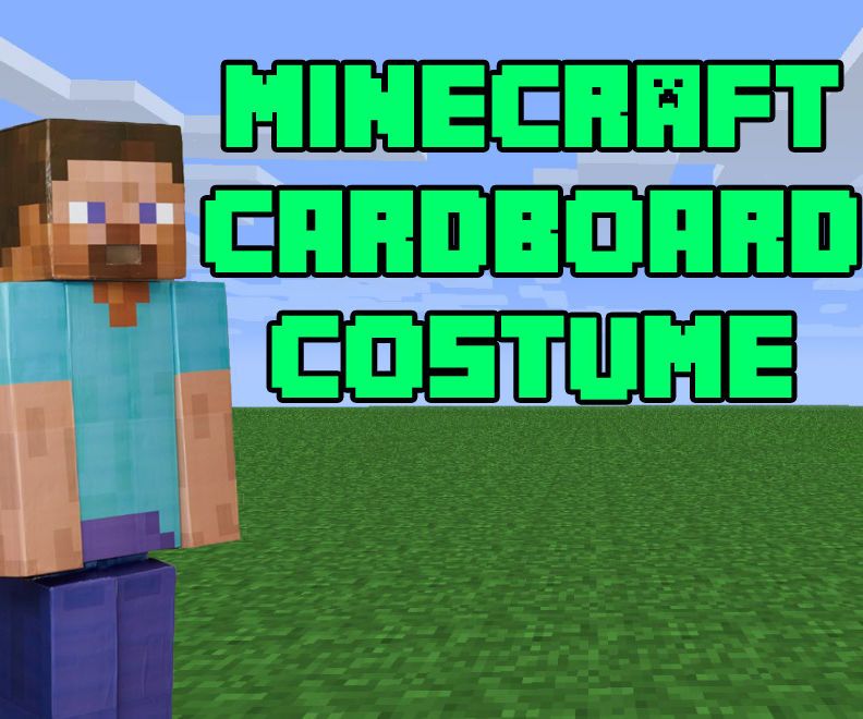 Minecraft Steve Cardboard Box Costume DIY