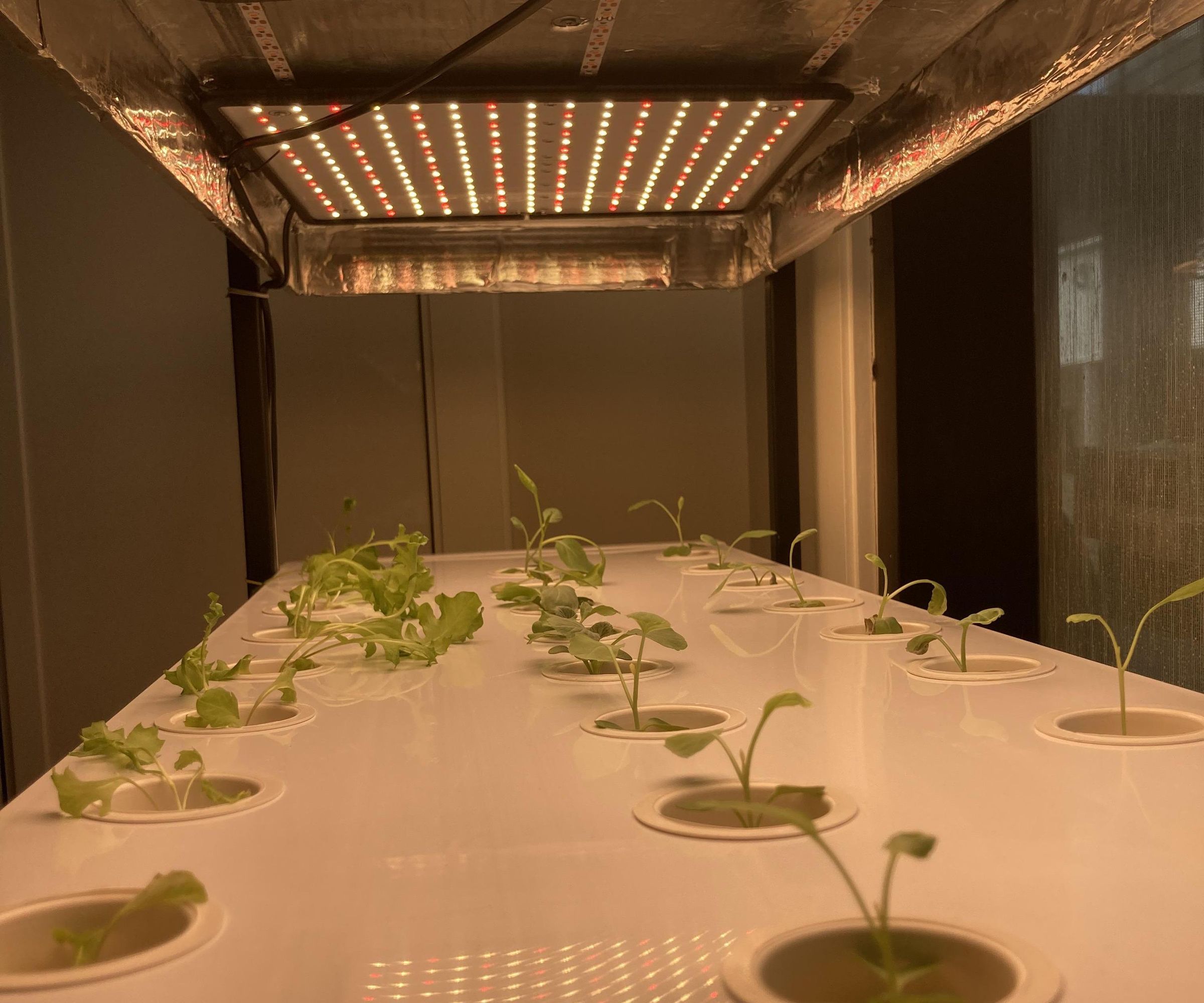 Vertical Hydroponic System