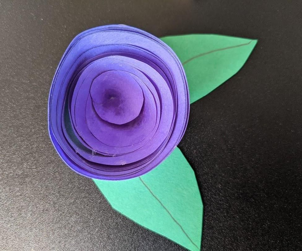 Kindness Rose
