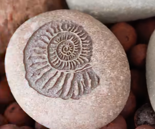 How to Make Imitation Fossils?