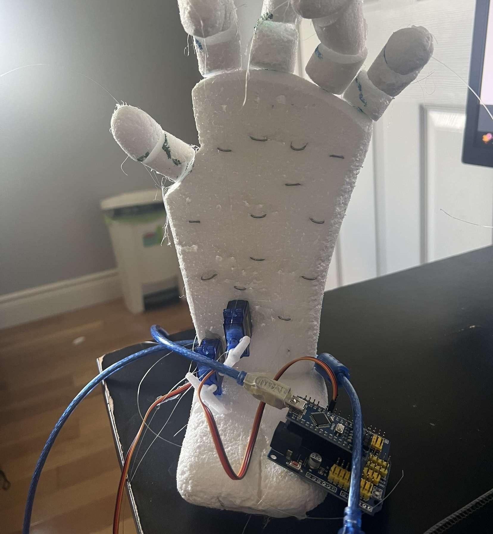 Robotic Hand