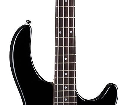 The Best Bass Finger Plucking Technique