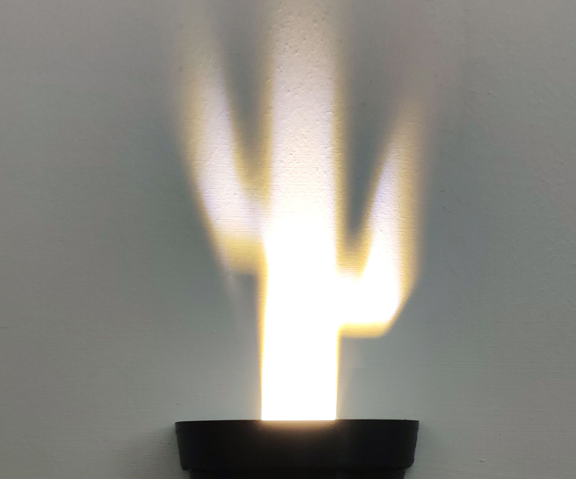 Make a "vibrant" light shadow potted plant