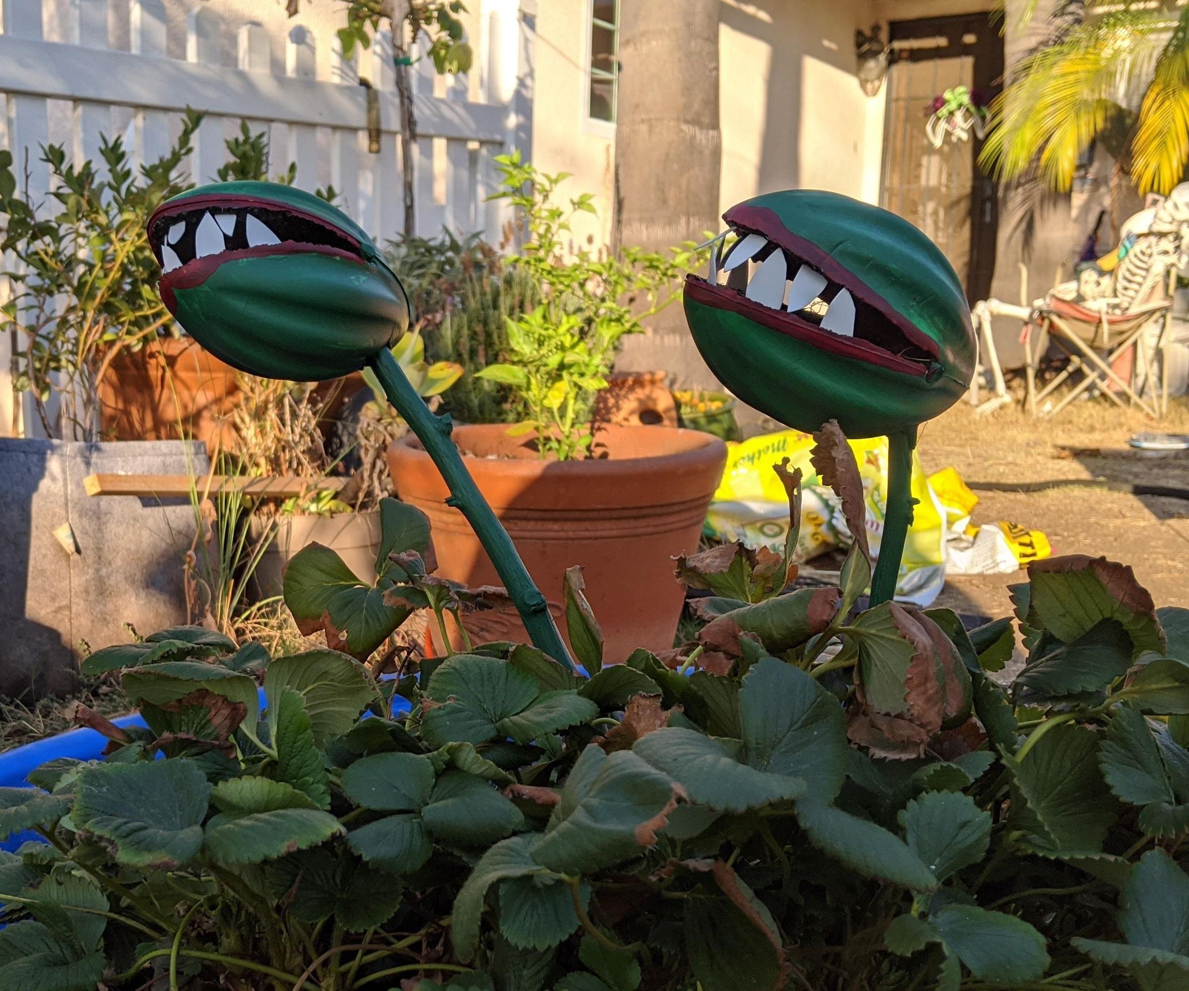 Let's Make Some Killer Plants!