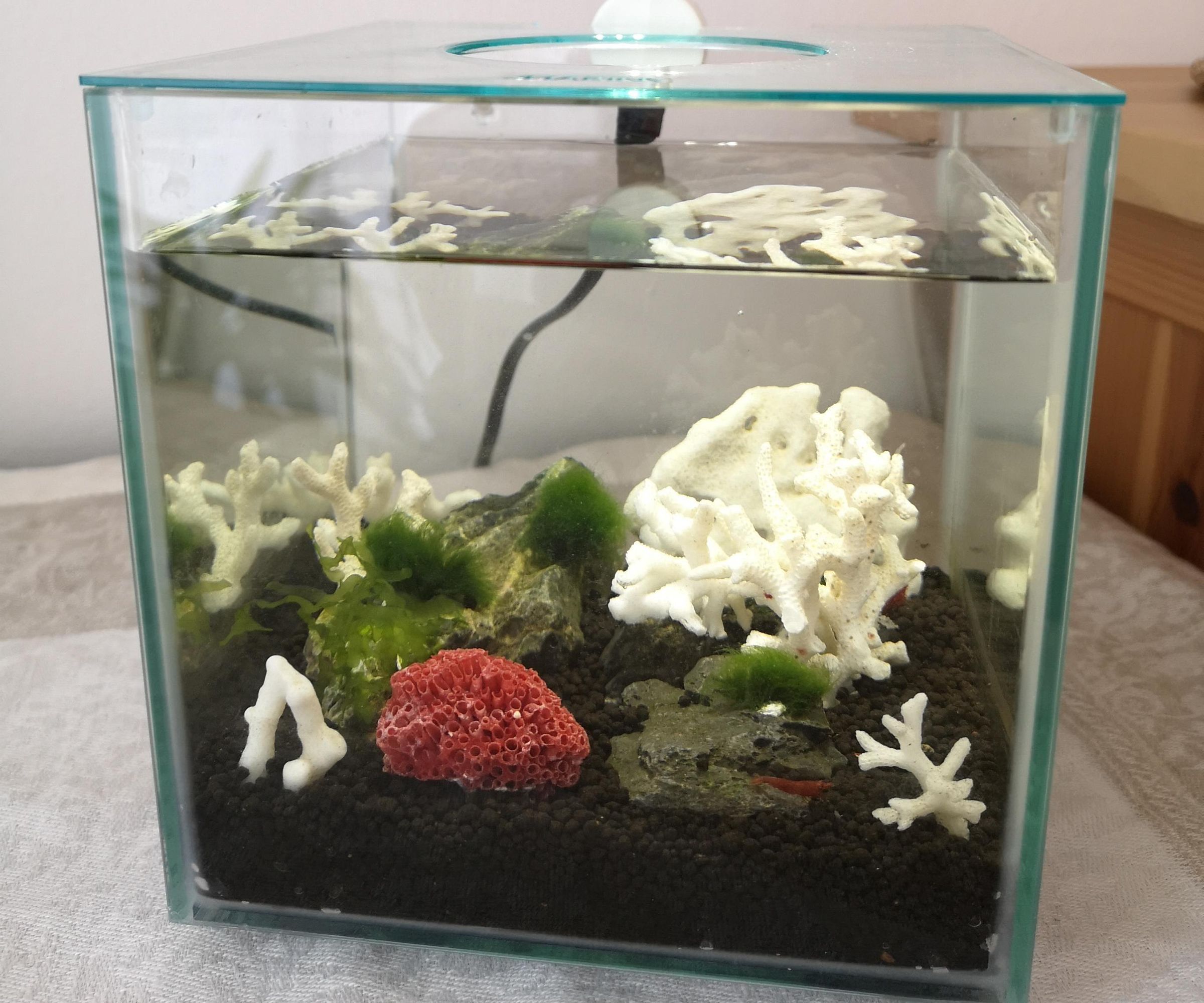All in 1 Simple Filter and Water Heater for Your Fish Tank