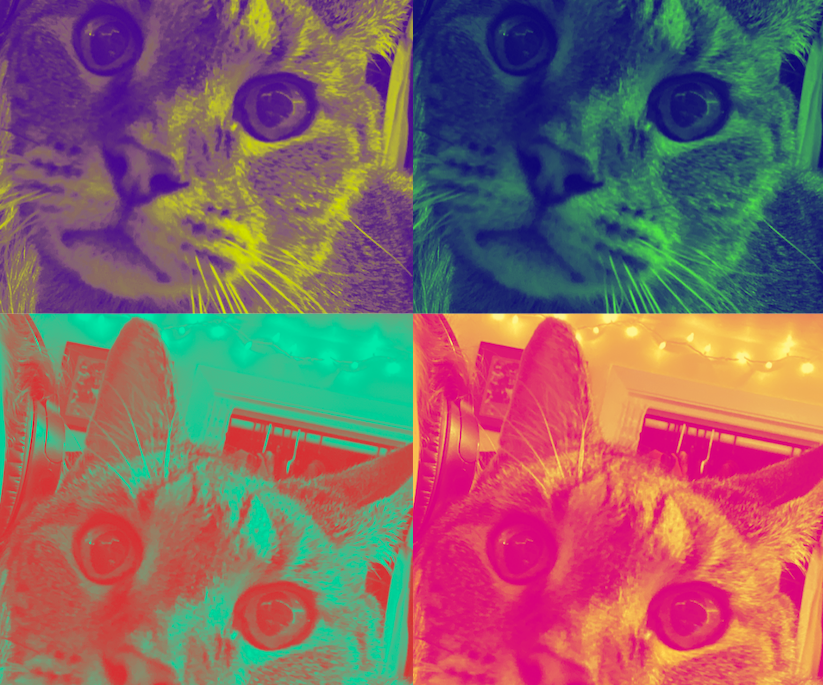 Bazaart Pop Art Portrait