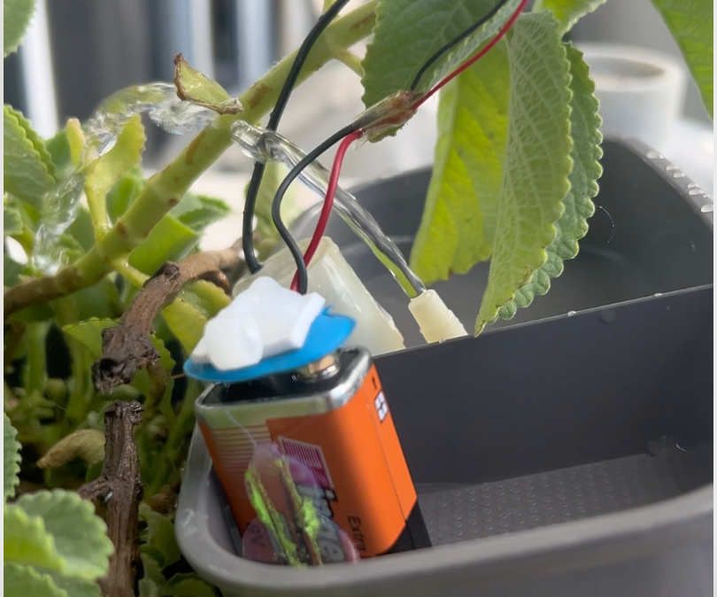 Arduino-Powered Automatic Plant Watering System