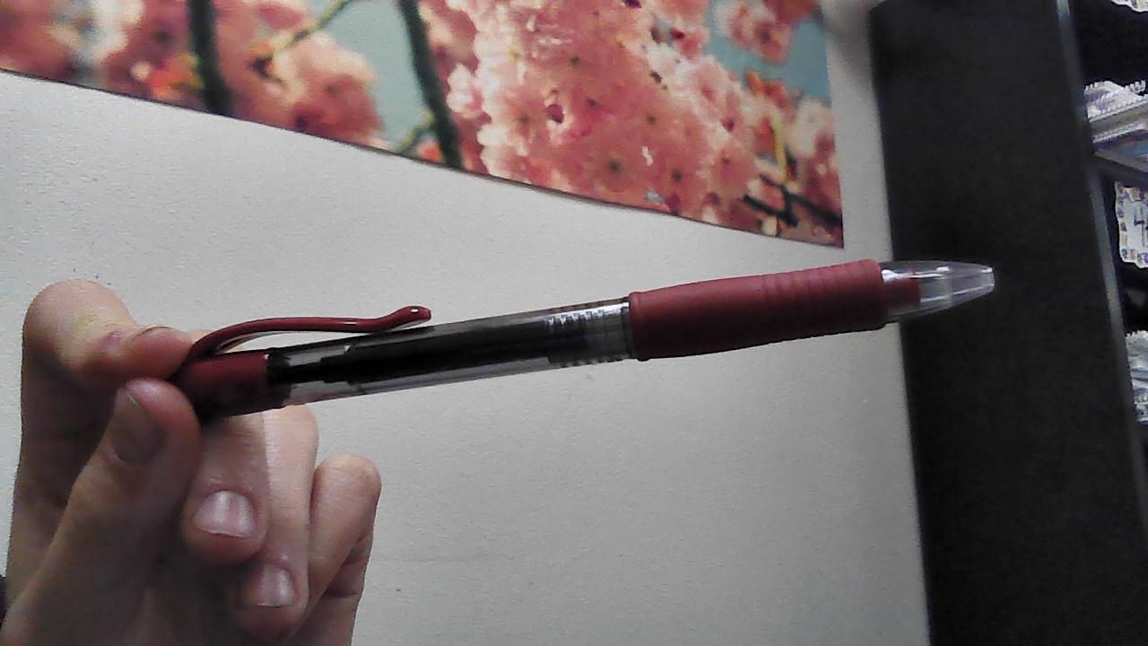 Easy Pilot G2 Pen Prank