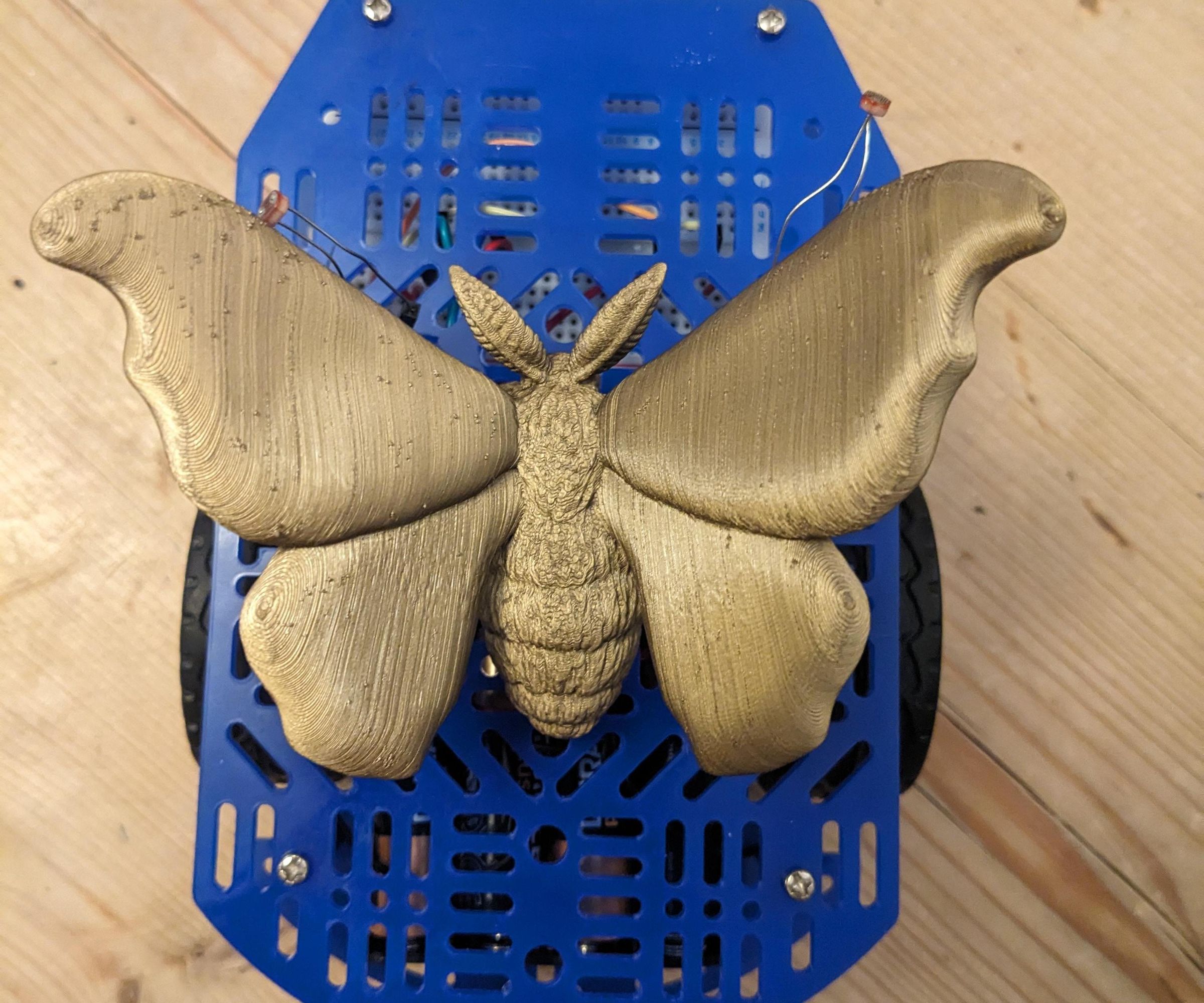 MothBot - a Light Following Robot