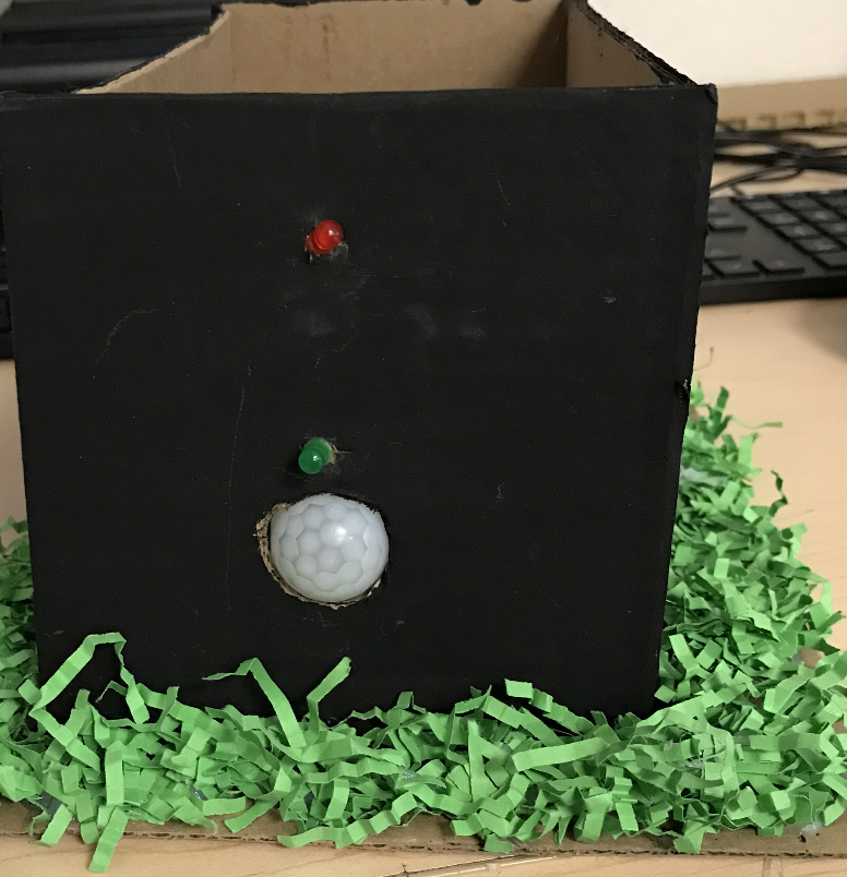 Motion-Triggered Alarm System With LEDs (Home Security System)