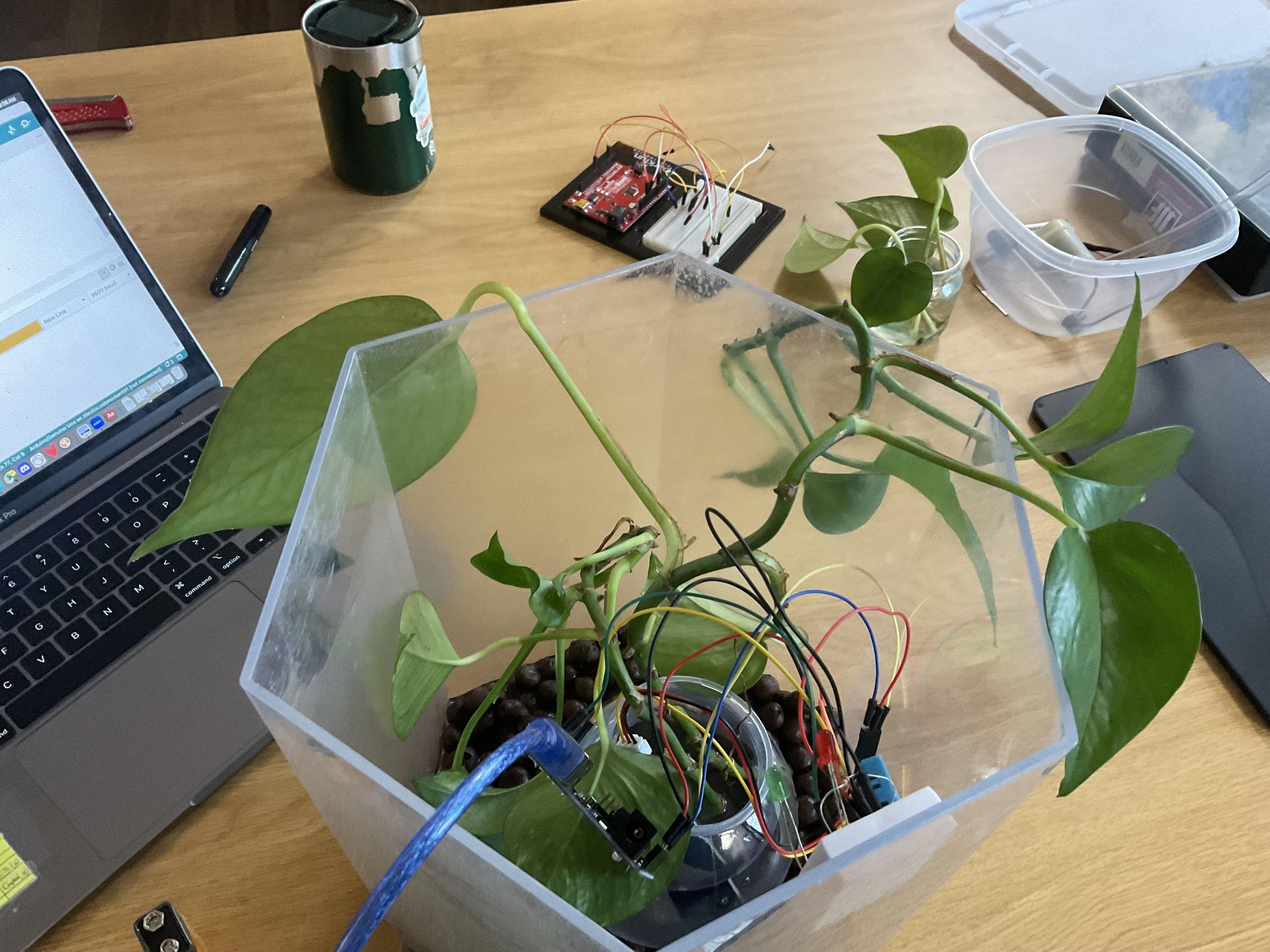 My Terrarium: Using Arduino Programming System to Control Humidity and Temperature in Tank