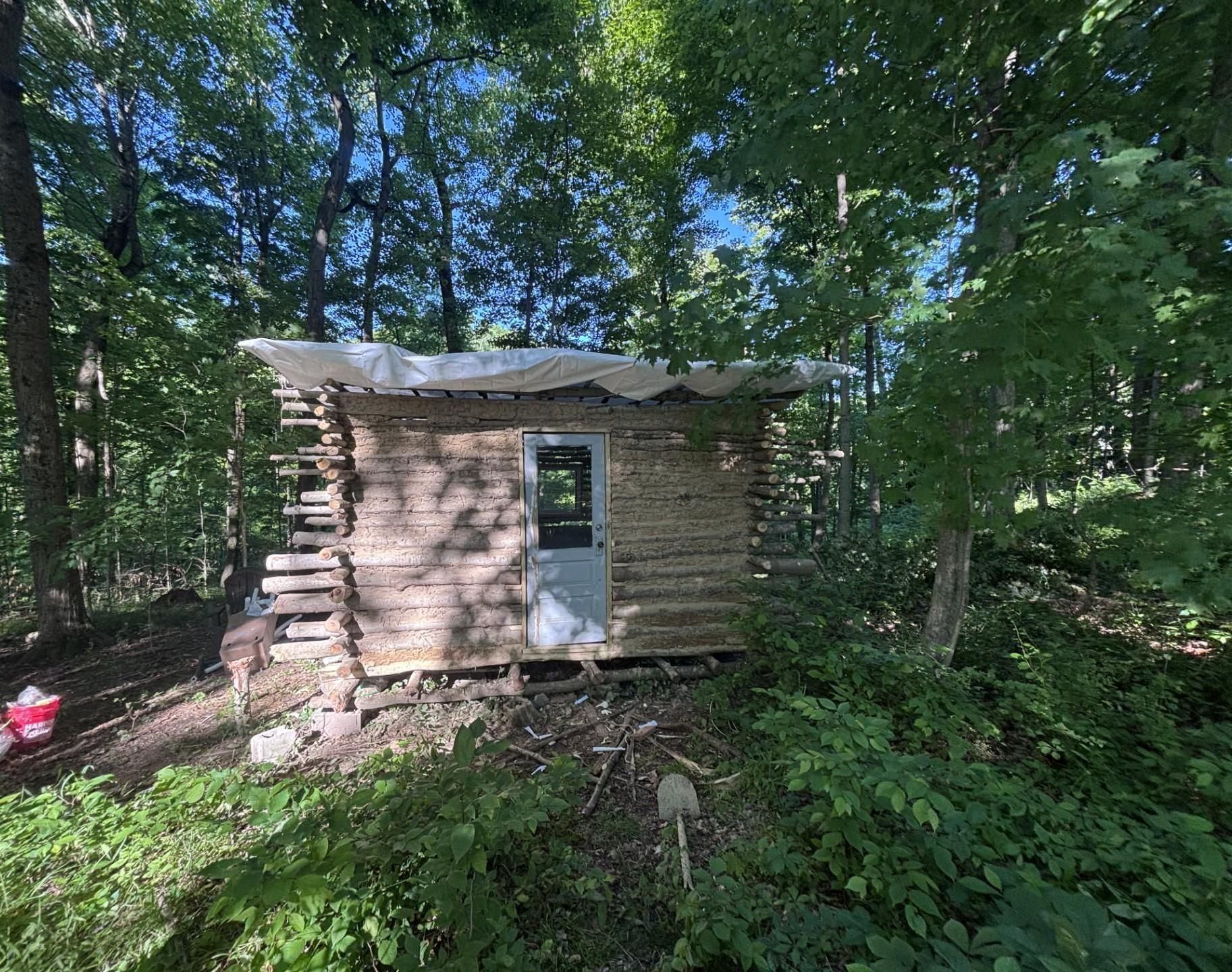 Backyard Log Cabin Built by Hand for Under 200 Dollars