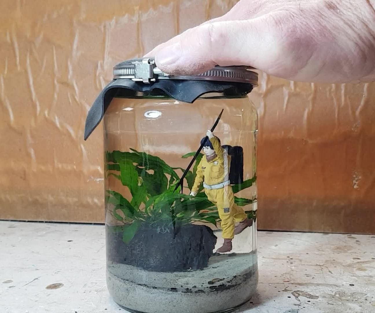 Cartesian Diver