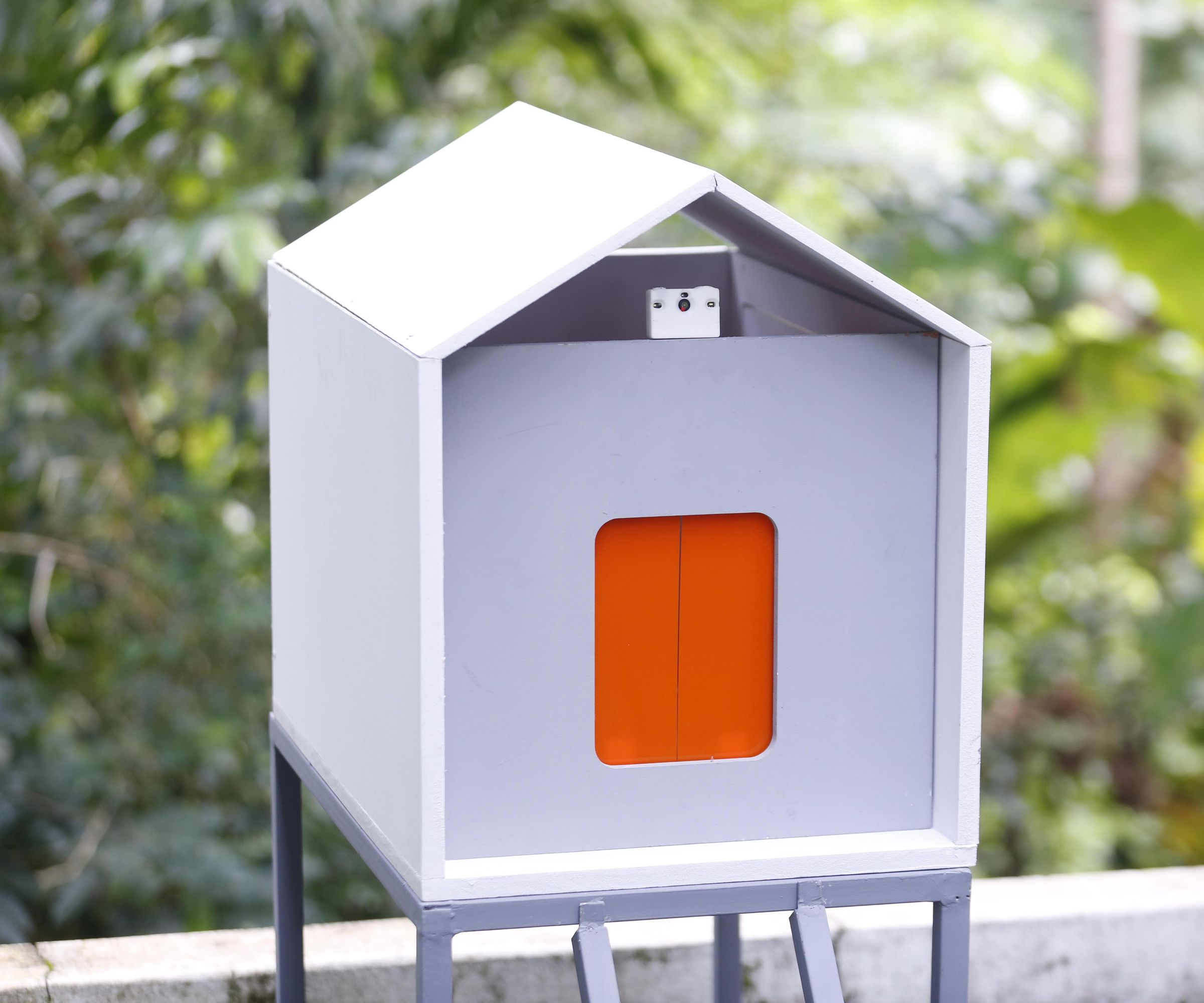 $50 DIY AI Smart Coop