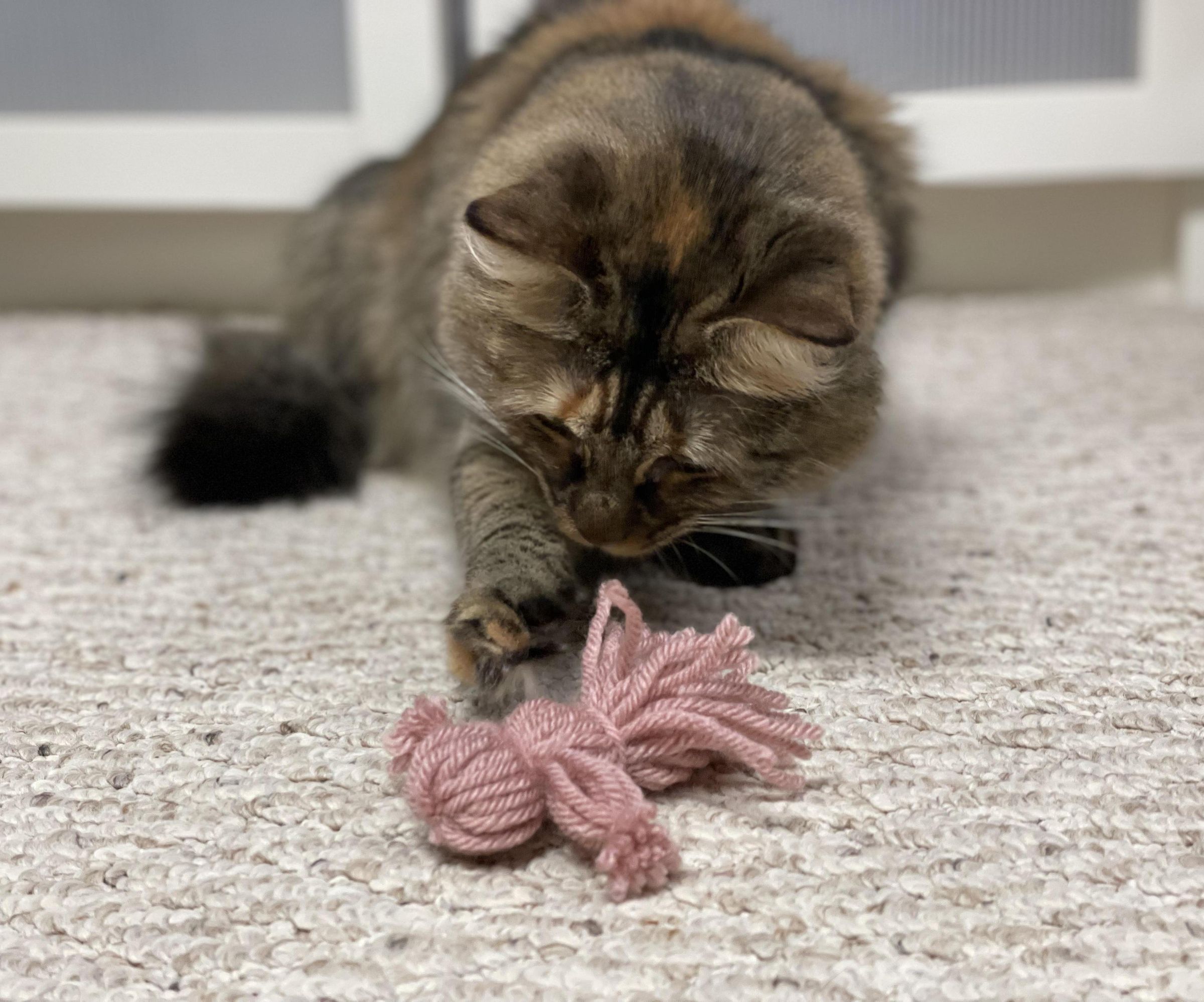 Baby Doll Cat Toy