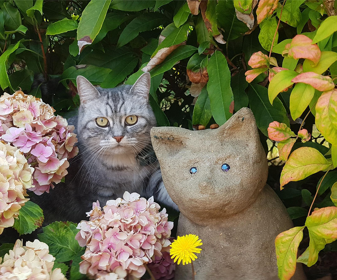 Concrete No-mould Cat Garden Sculpture