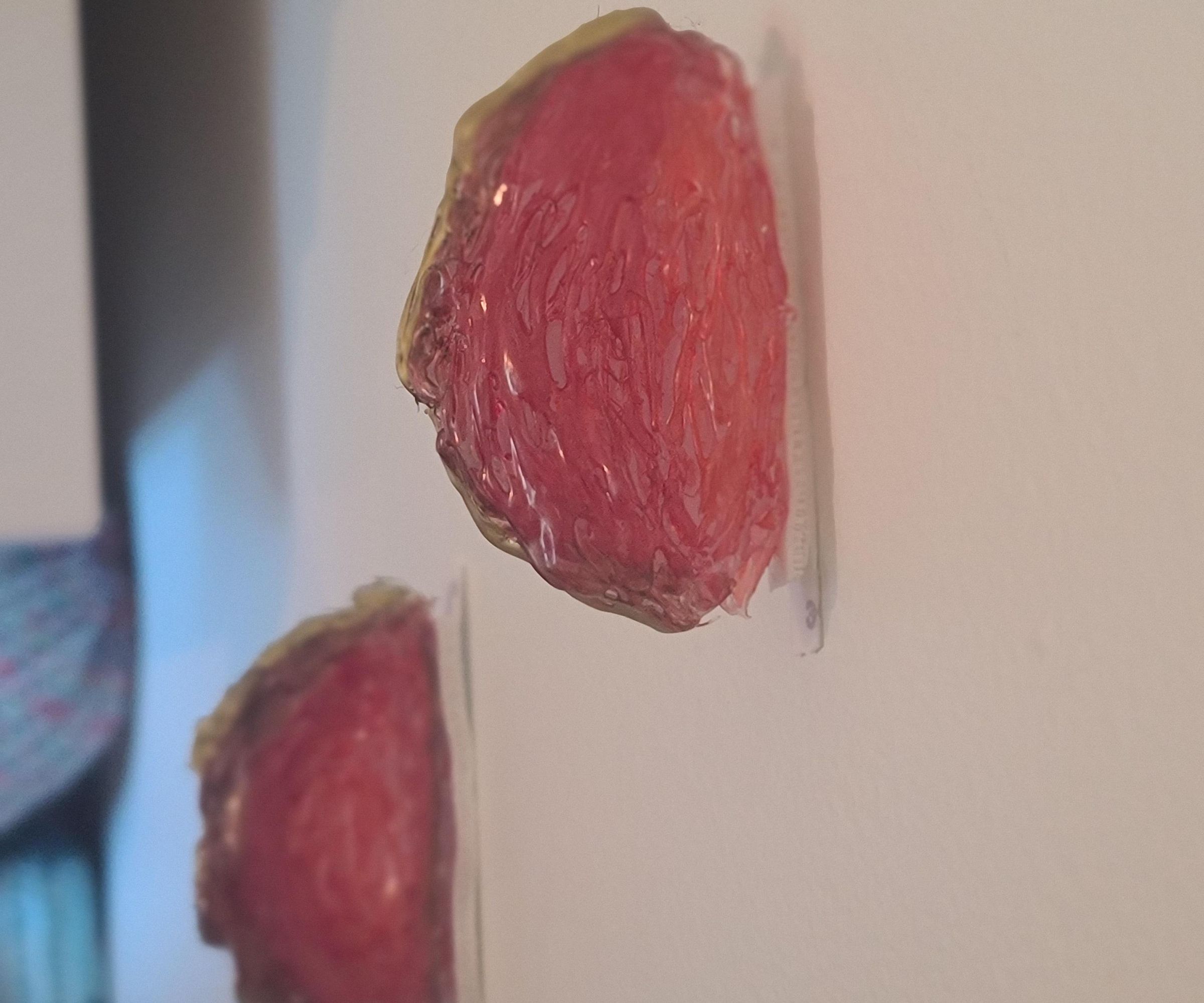 Mushroom Shelf