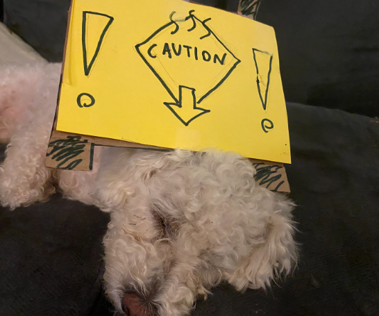 Waste Warning