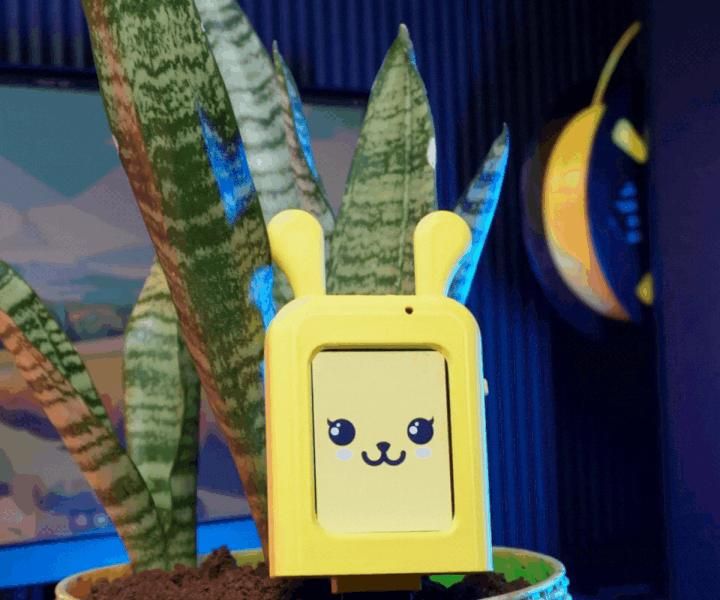 Bloom Buddy