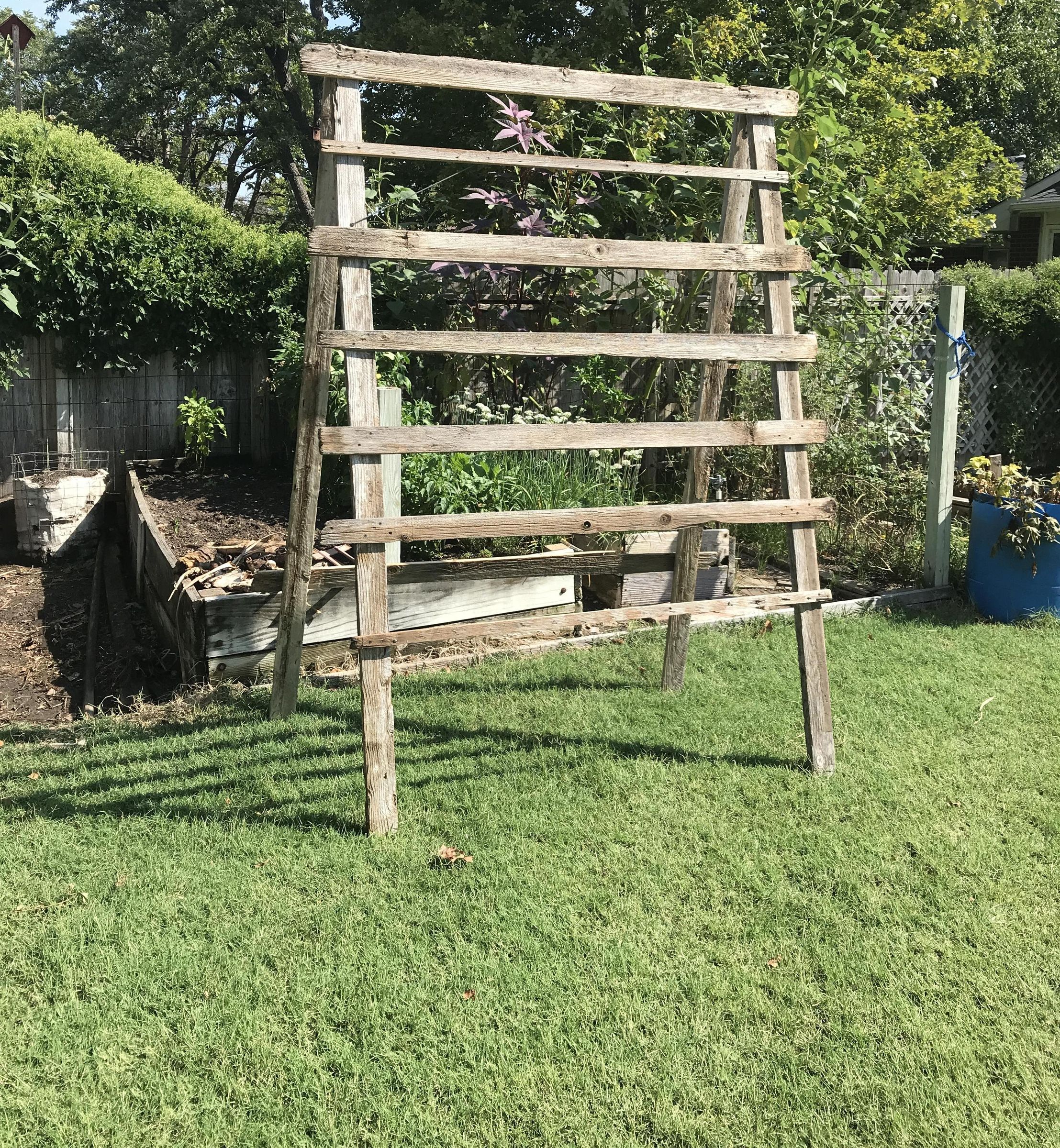 Bean Ladder