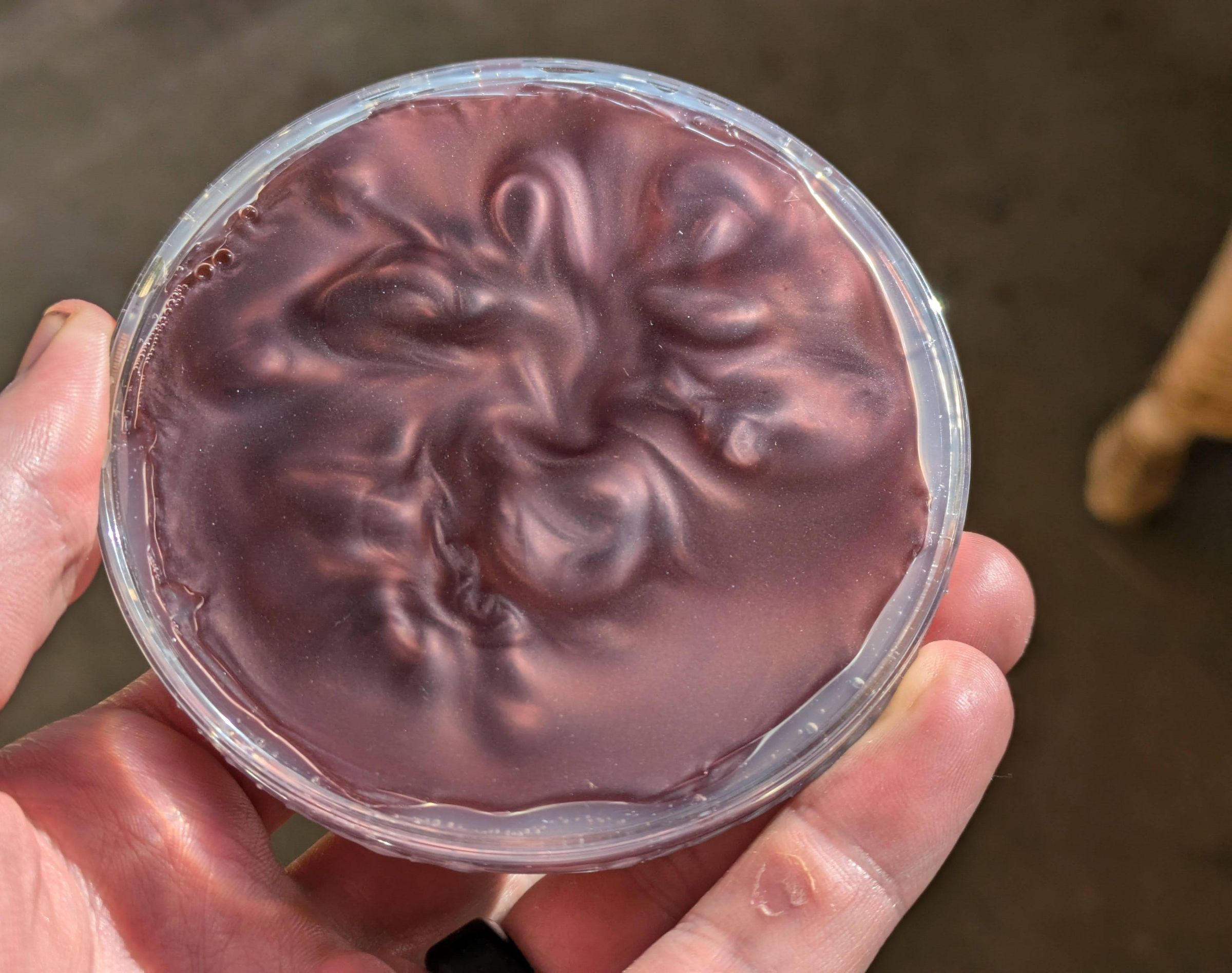 Rheoscopic Fluid Fidget Toy From Shaving Foam