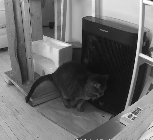 Cat Inappropriate Pooper Deterrent