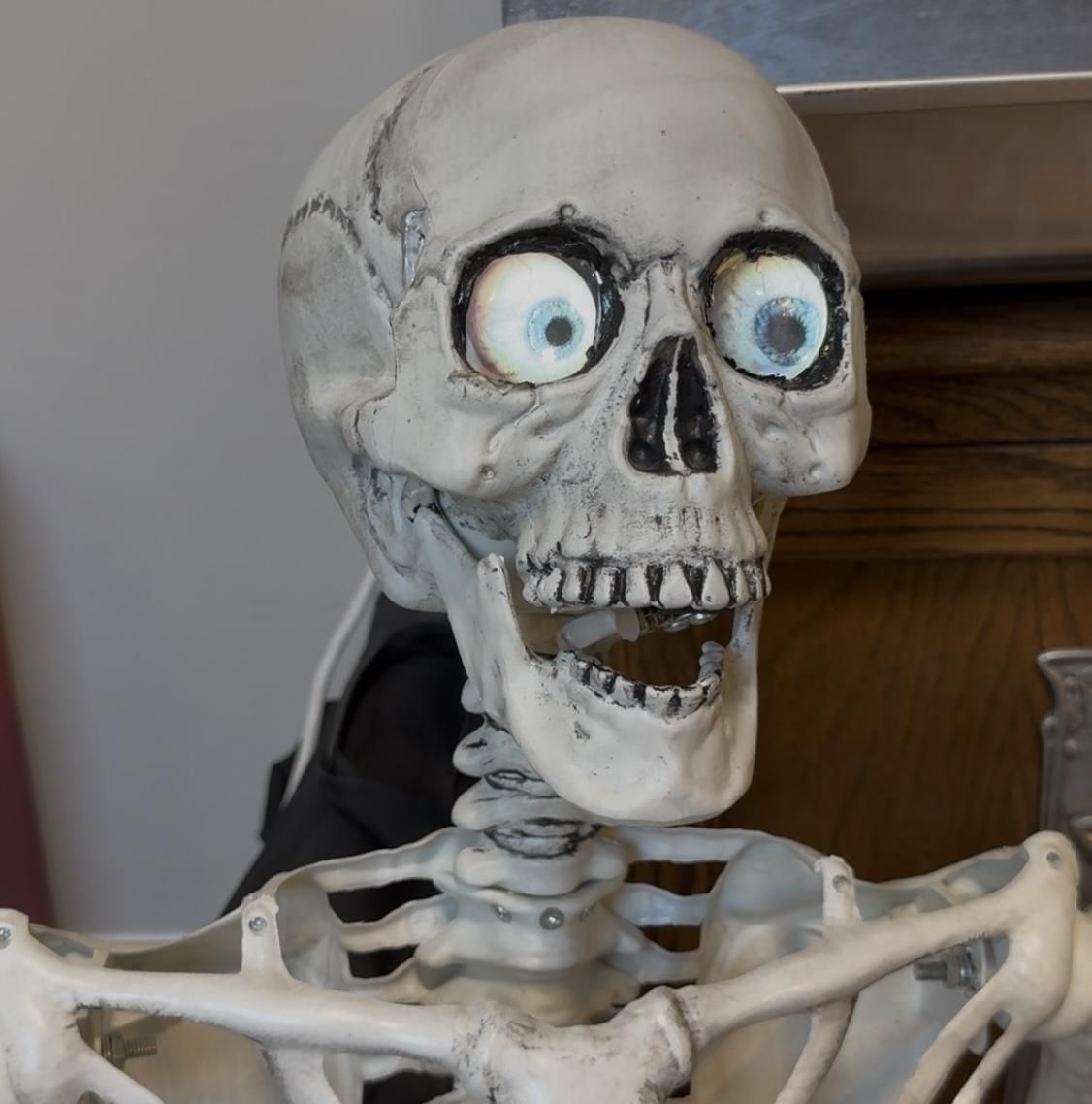 Animate Your Skeleton's Head for Halloween