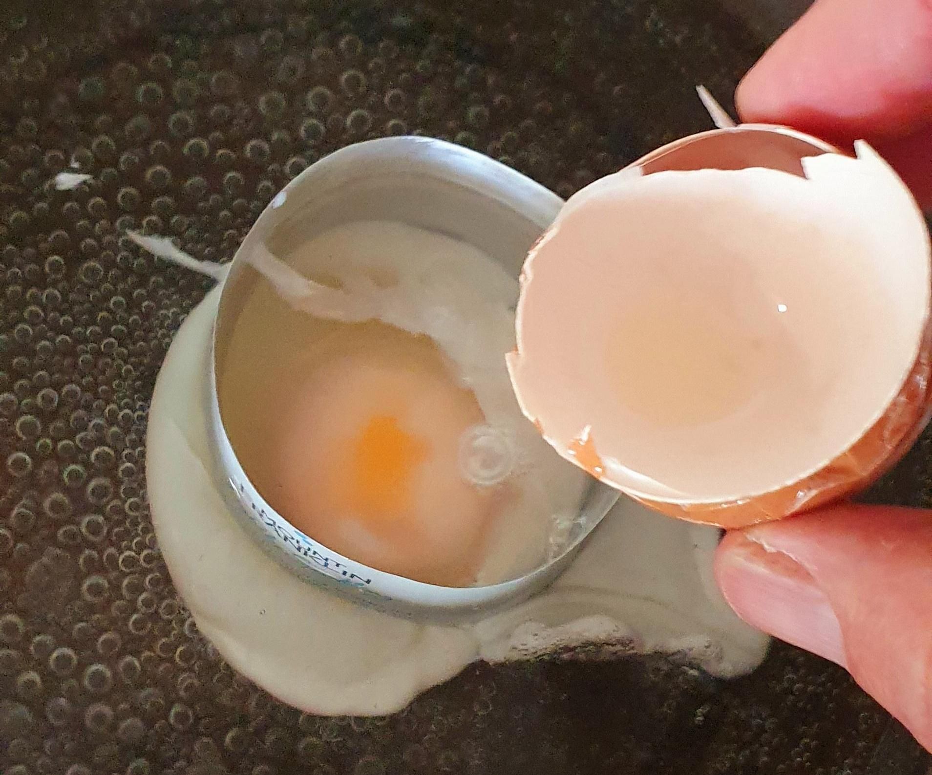Poached Egg Ring