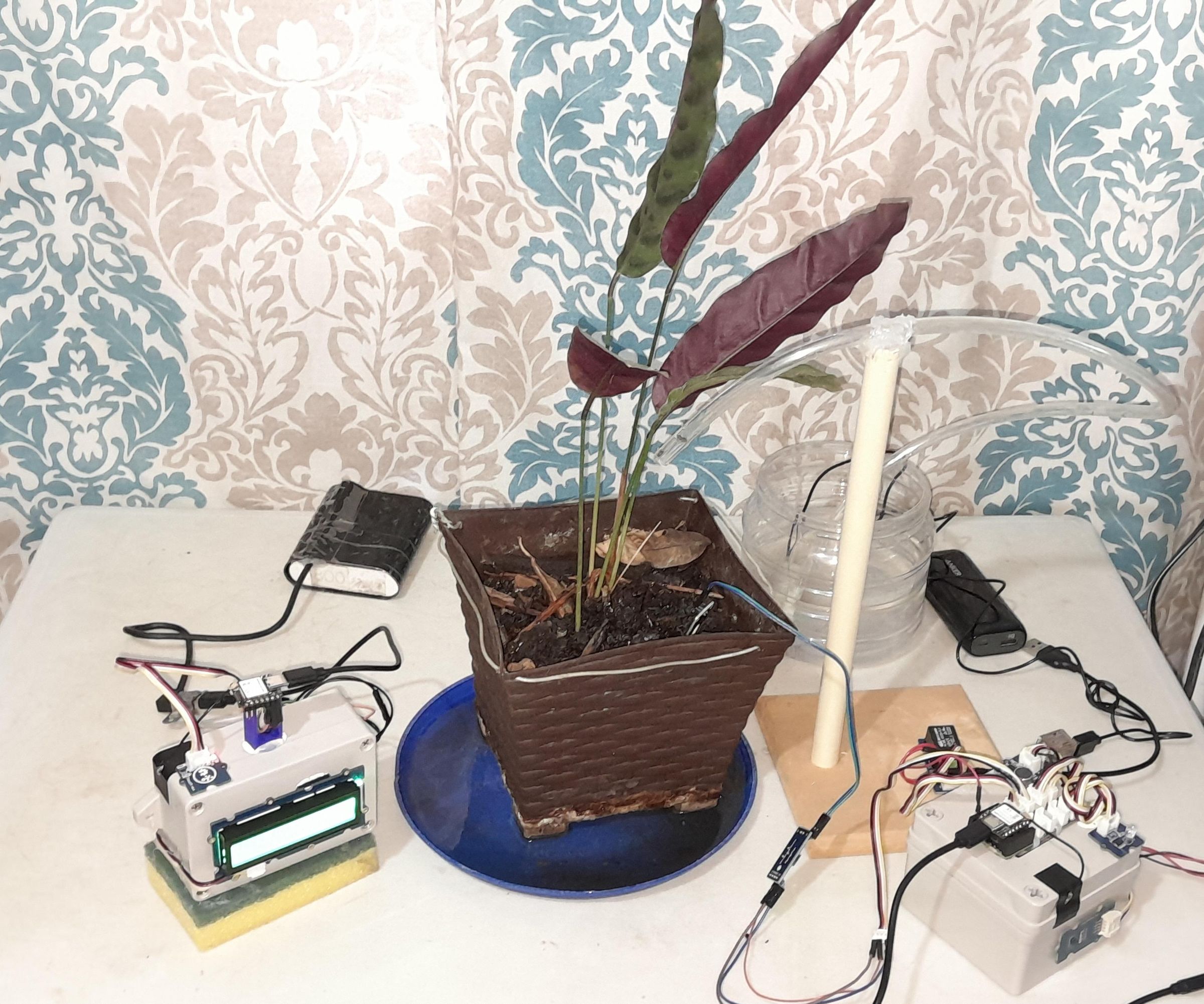 WiFi Mesh Powered Plant Watering System