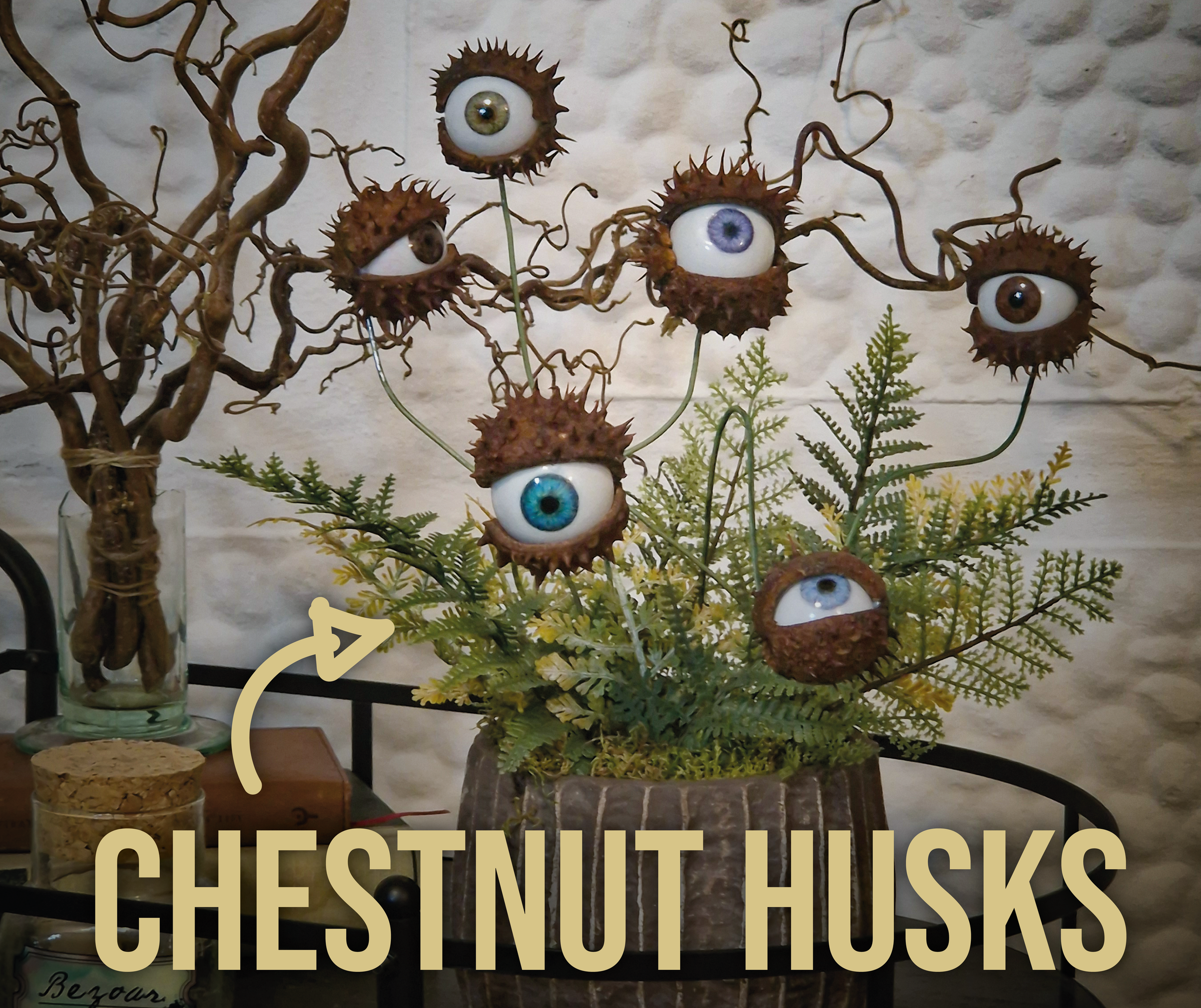 Kooky Spooky Eye Plant