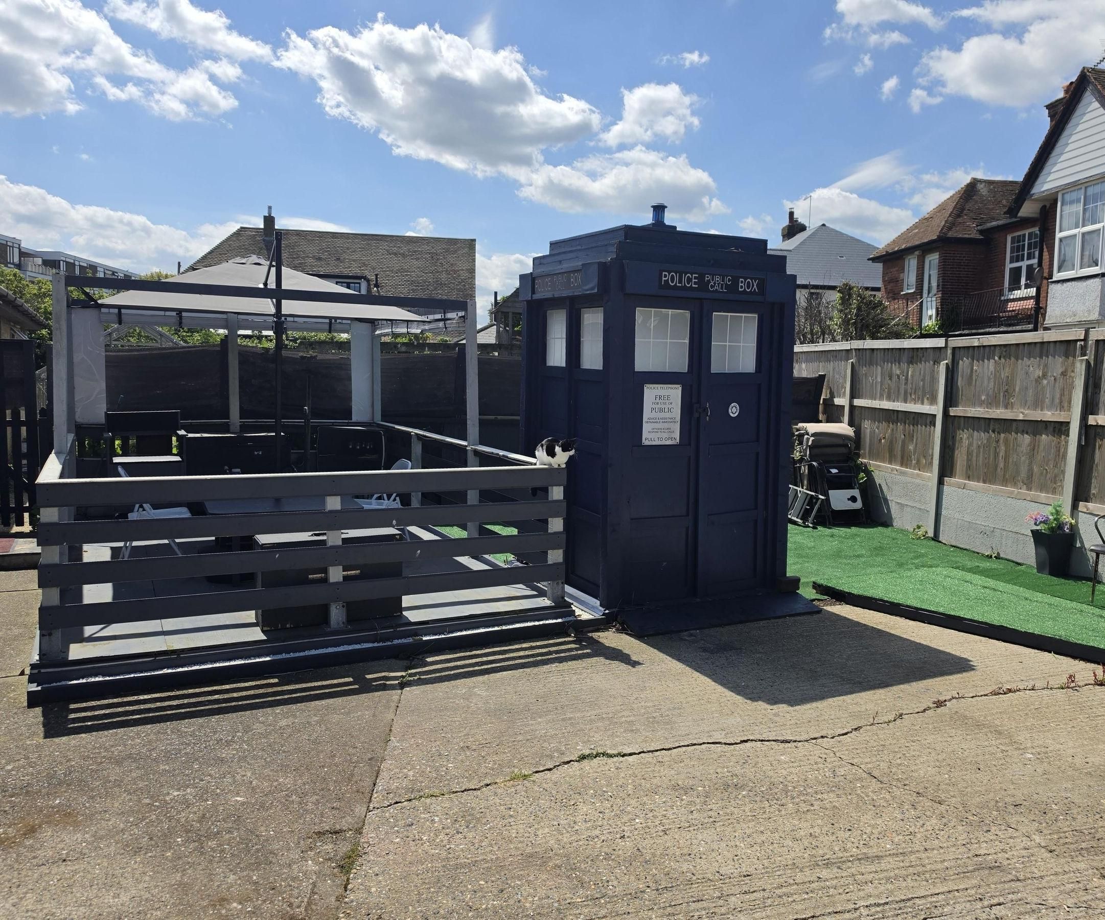Backyard Makeover: Transforming a Long-Disused Garden Into Something Usable and Enjoyable