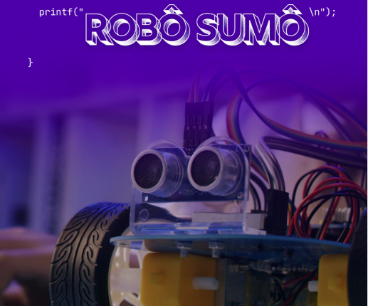 ROBÔ SUMÔ AGV