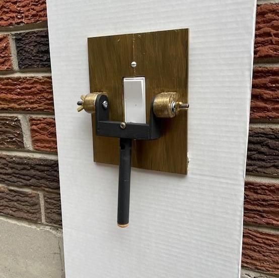 MAD SCIENTIST SWITCH PLATE