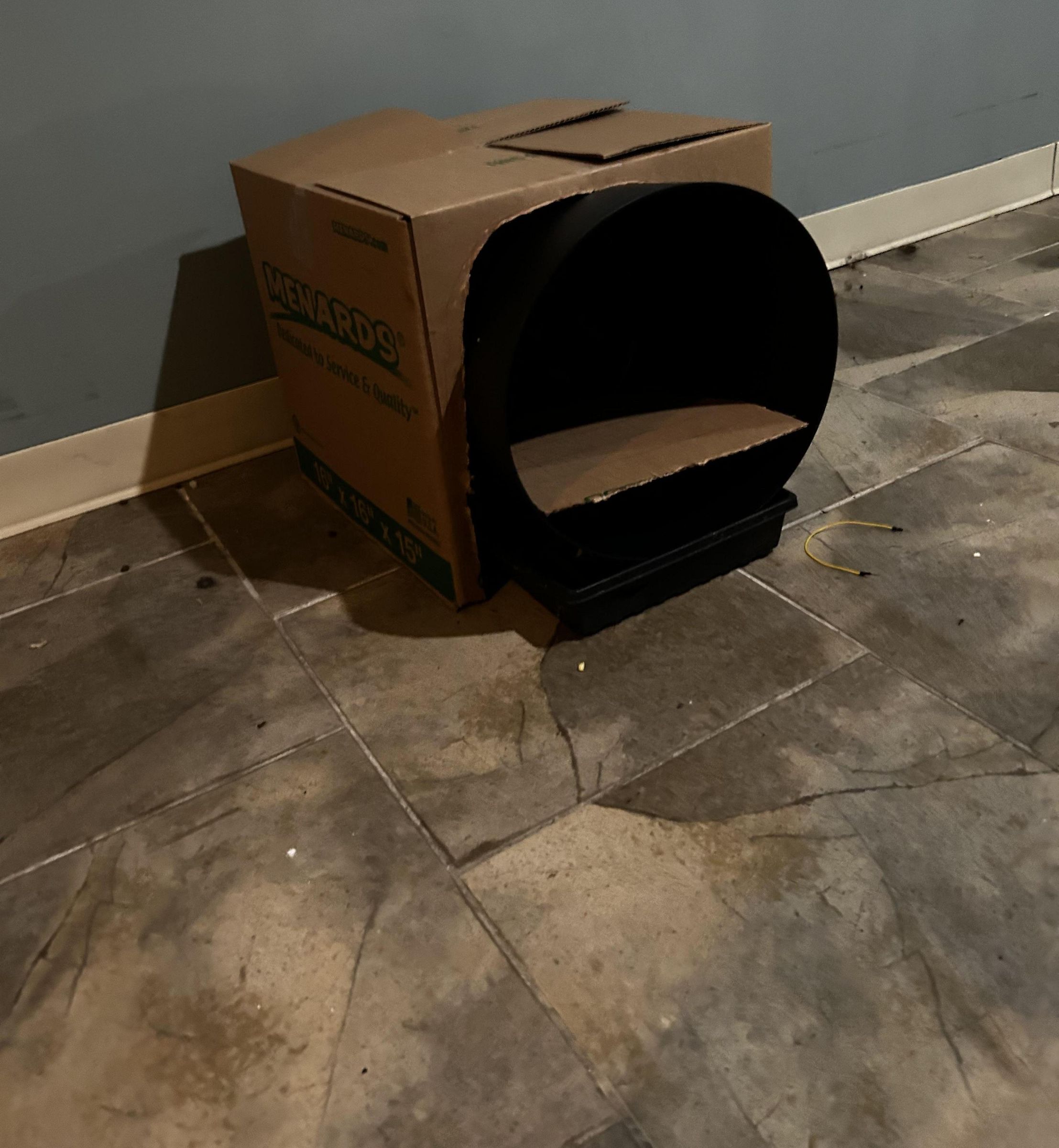 Auto Kitty Litter