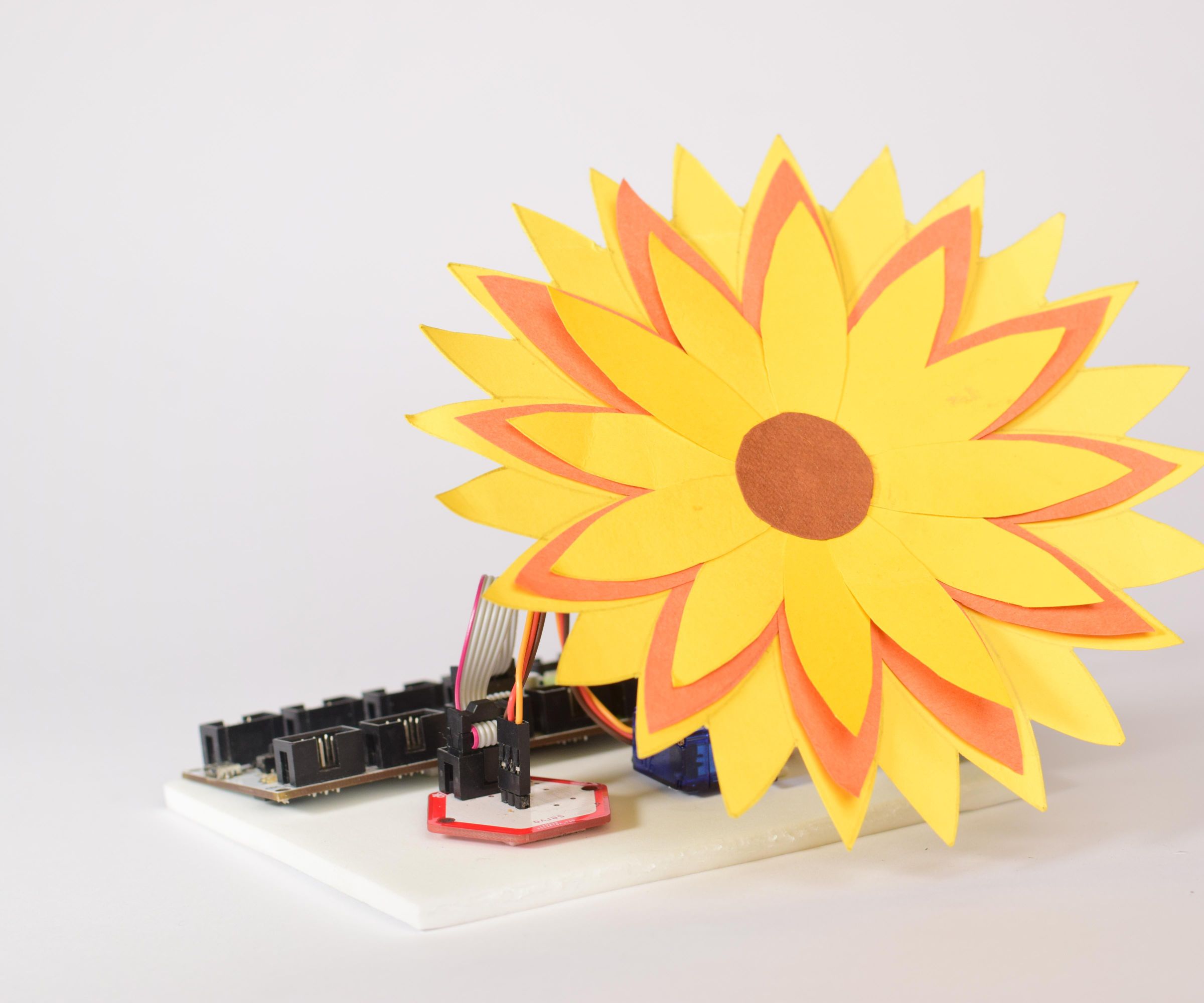 How to Build a DIY Sunflower