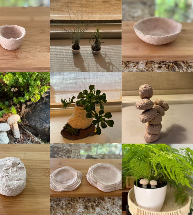 Exploring Eggshell Ceramics