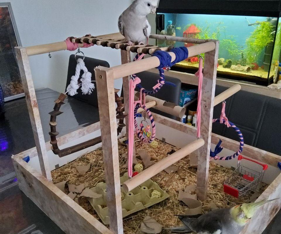  Amusement Bird Park