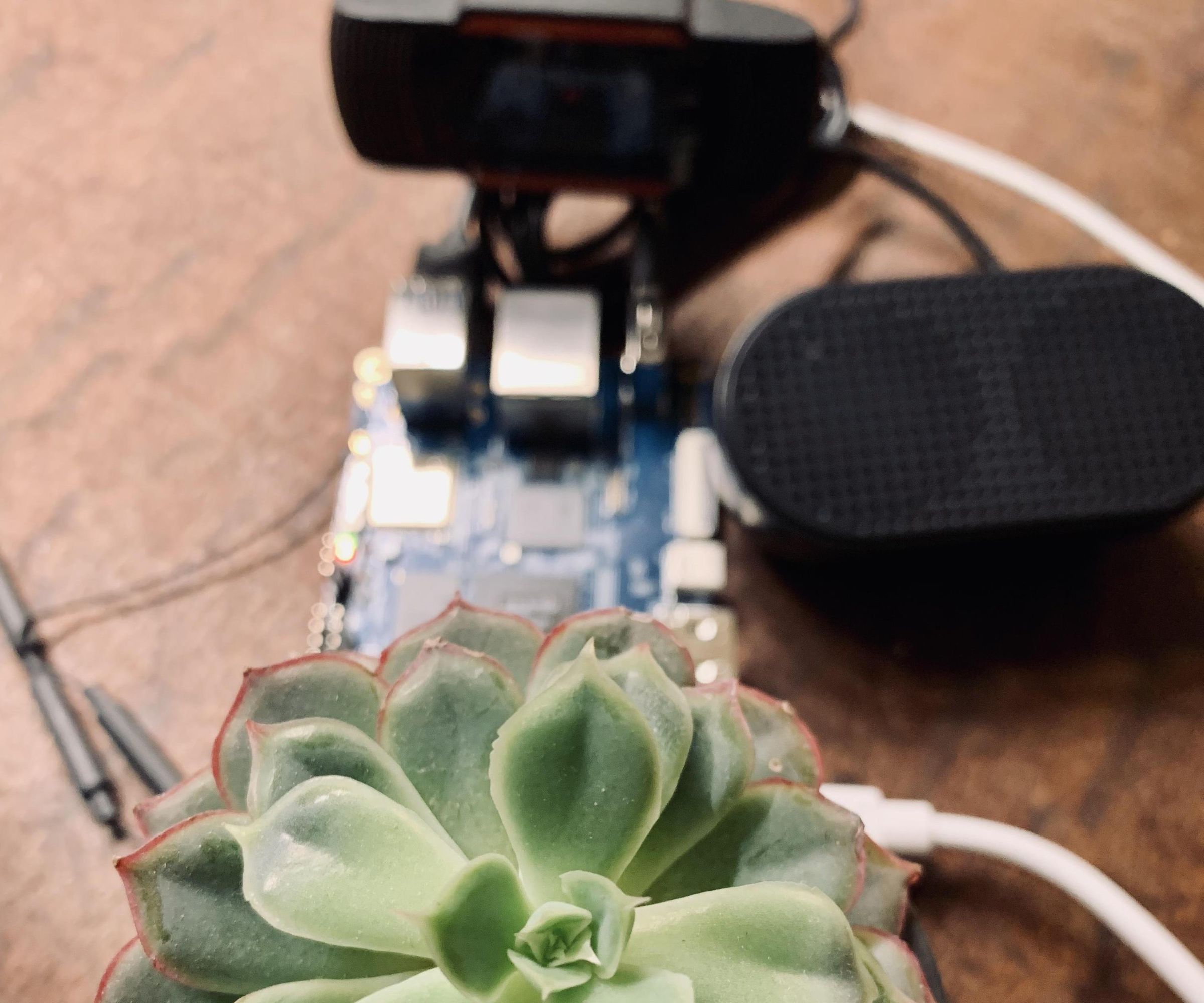 Practical AI - a Local LLM and Machine Learning for Plant Care (in Less Than 50 Lines of Code)