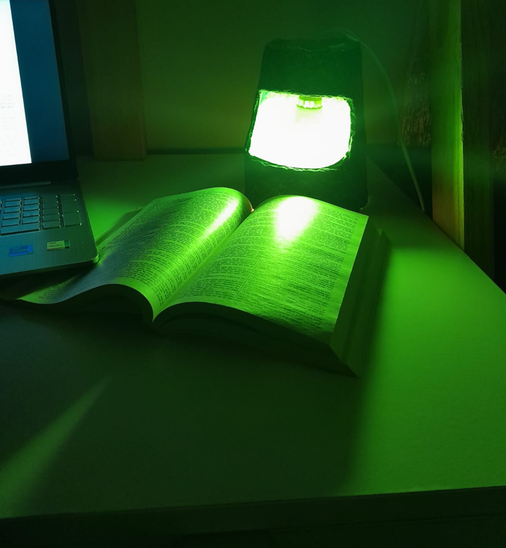 Biocone Bio Luminaire