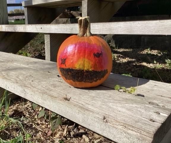 Star Wars Pumpkin