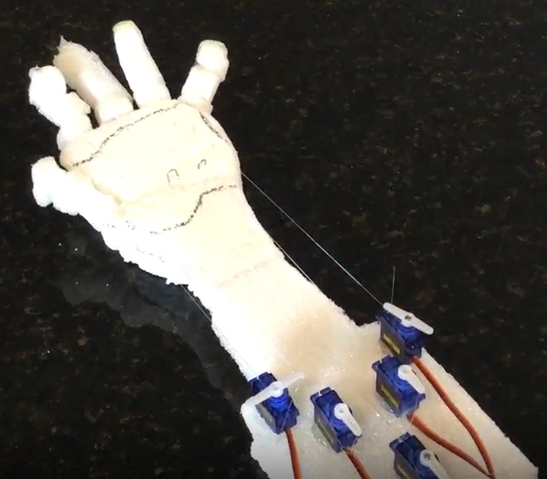 Robotic Hand