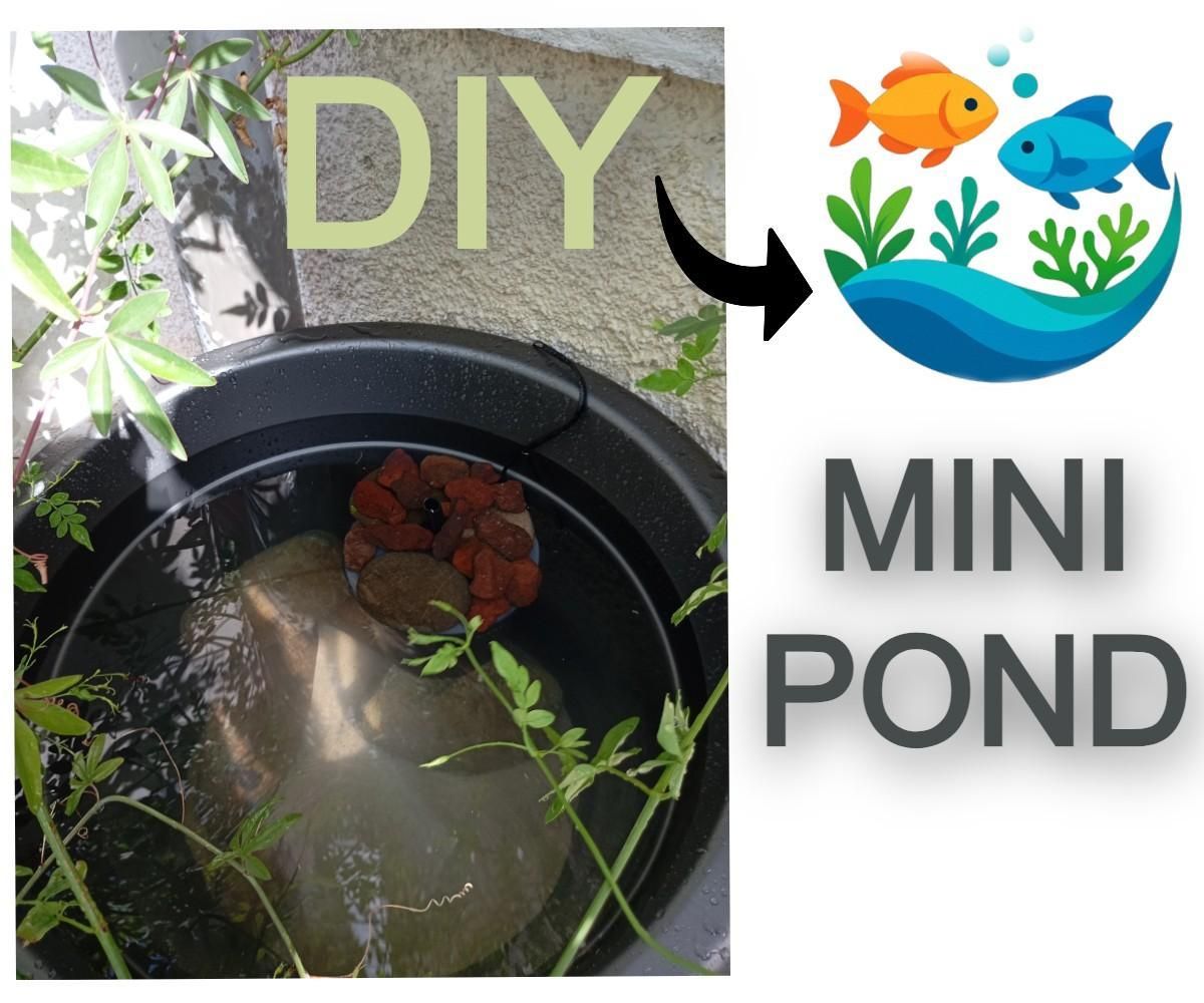 DIY Mini Goldfish Pond in a Flowerpot