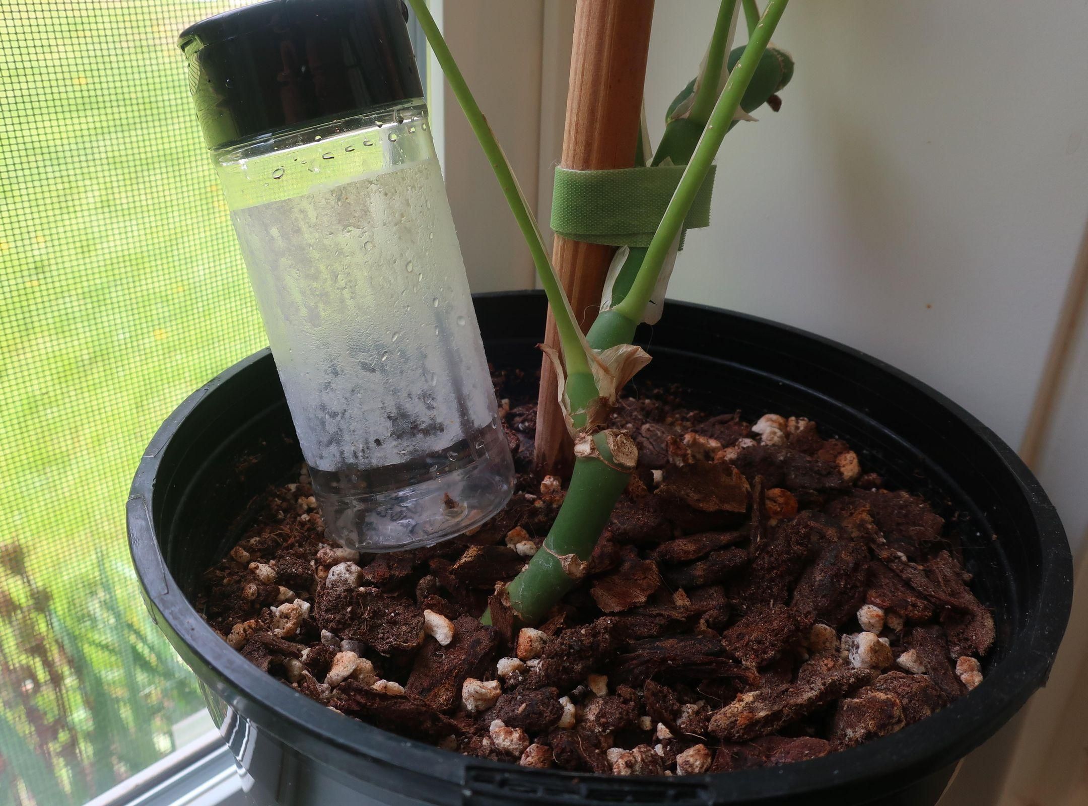 Recycled DIY Precision Waterer