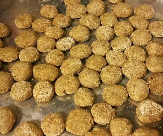 Cat Treats