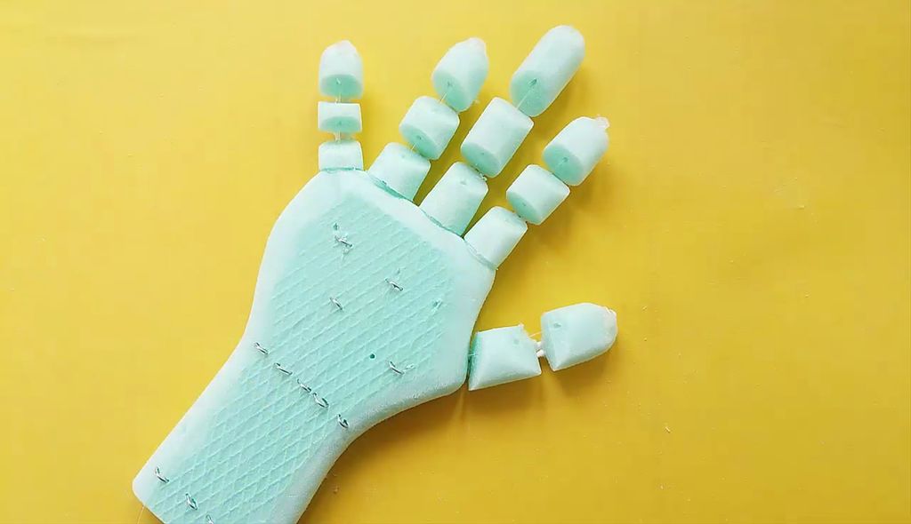 Robotic Hand