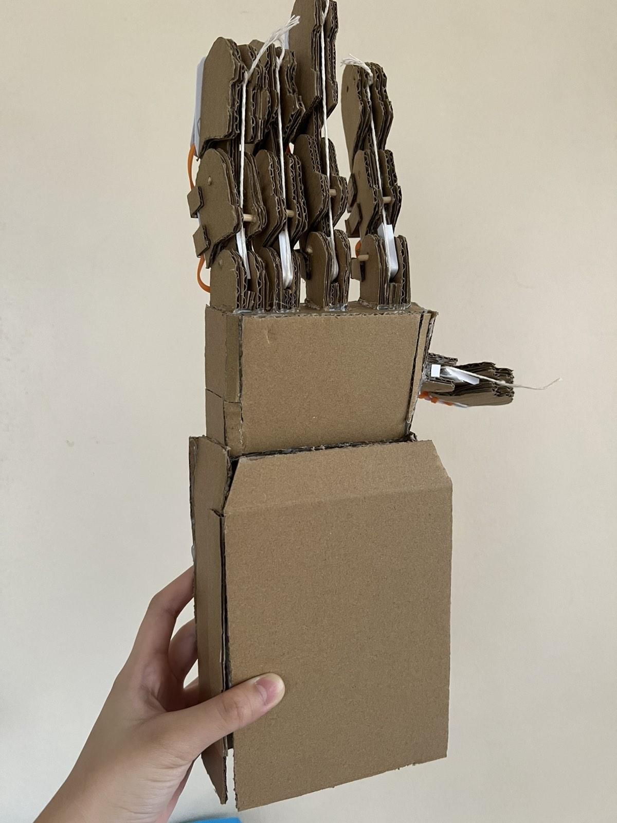 Elastic-Powered Cardboard Mechanical Hand