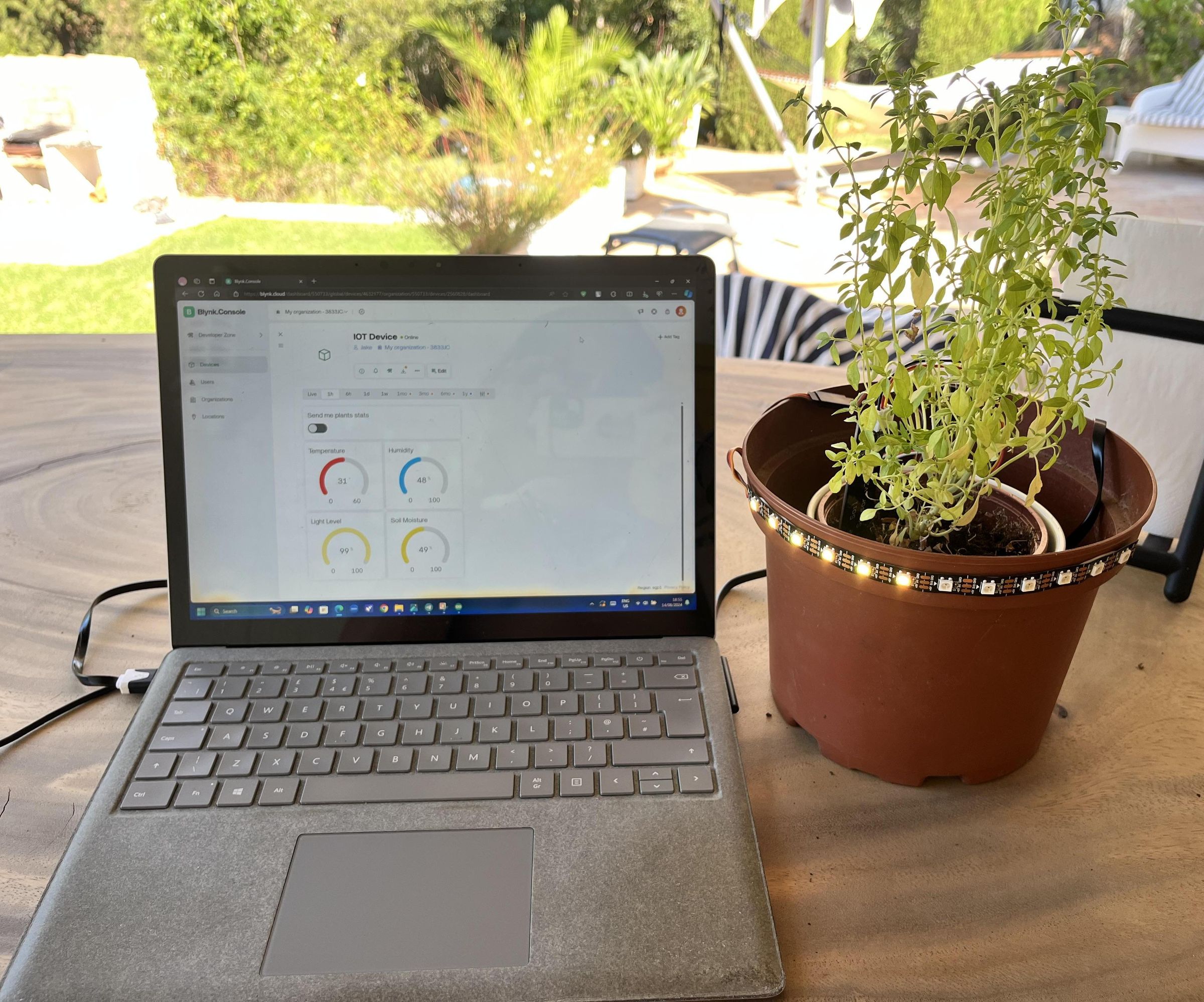 How to Make a Smart Pot Plant