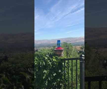 Up-class a Broken Hummingbird Feeder