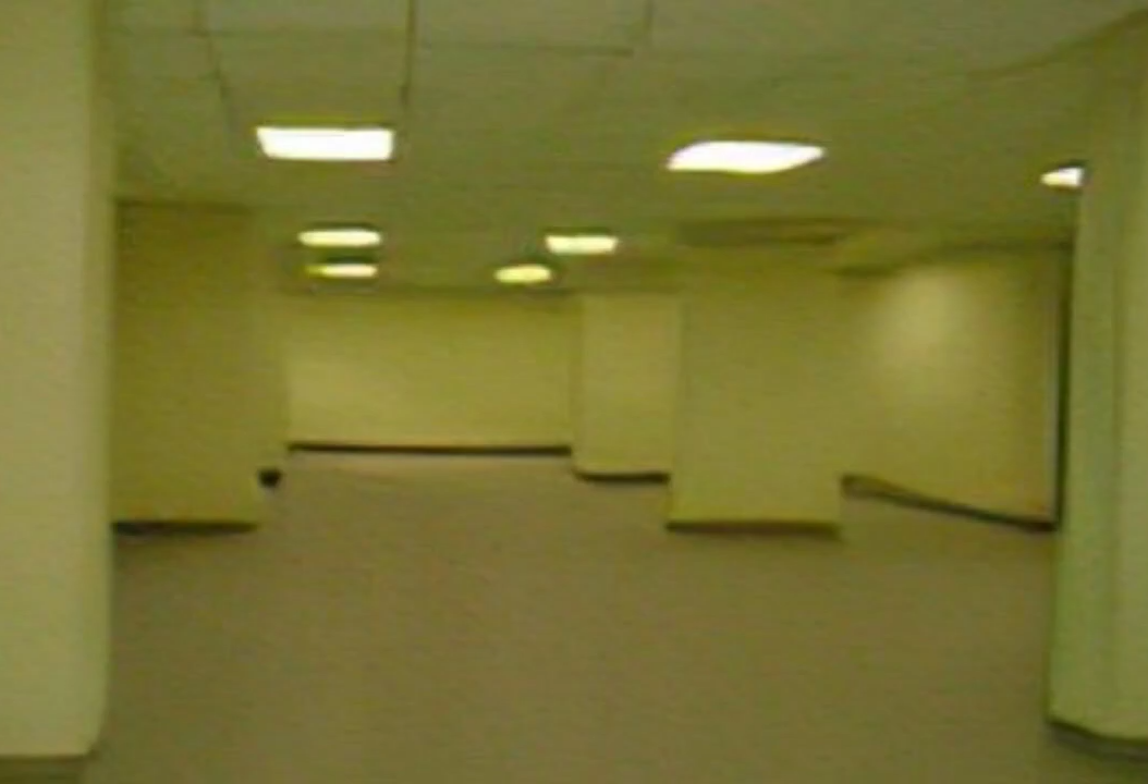 How to Survive the Backrooms